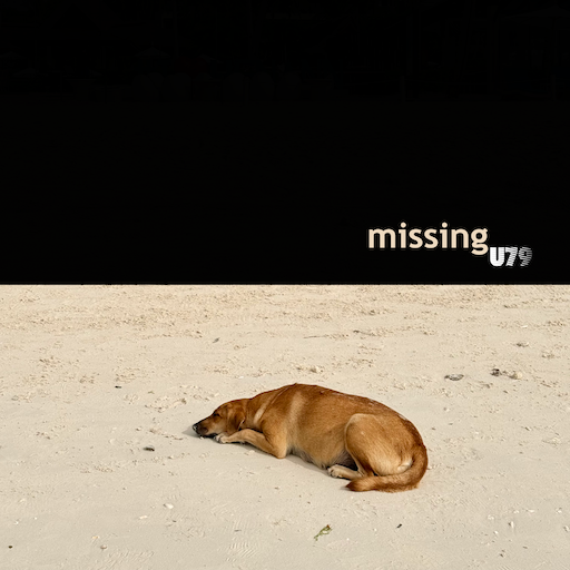 U79 - Missing